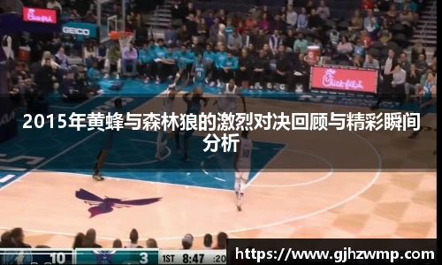 哈哈体育2015年黄蜂与森林狼的激烈对决回顾与精彩瞬间分析