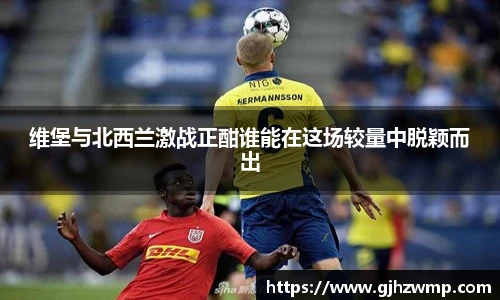 哈哈体育维堡与北西兰激战正酣谁能在这场较量中脱颖而出